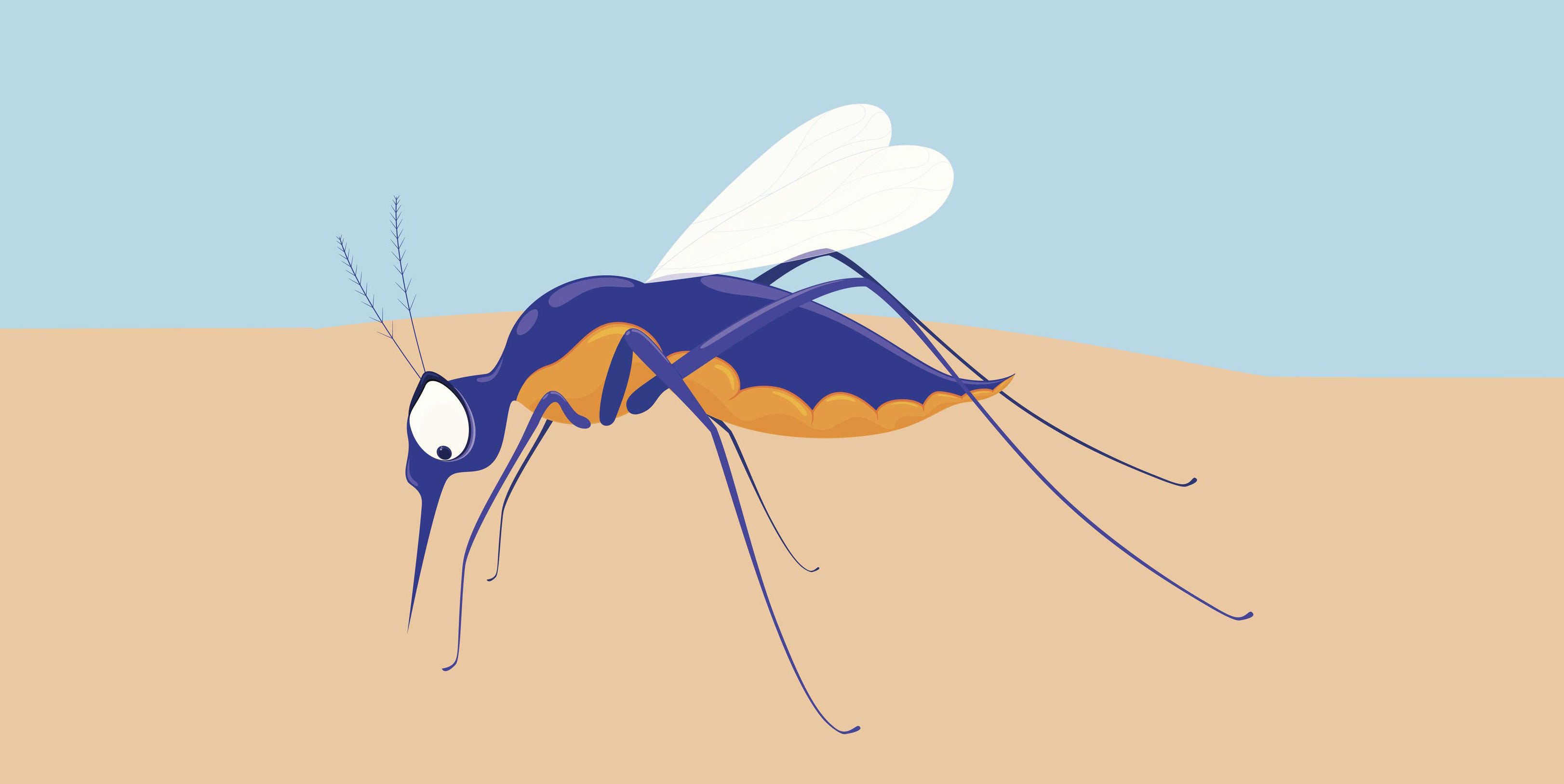 how to get rid of mosquitoes mosquito bite mosquito bite remedies how to get rid of bites fast how to get rid of mosquitoes mosquito bite mosquito bite remedies how to get rid of bites fast